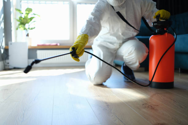 Reliable Odor Removal contractor in New Paris, OH by Trauma Clean Pros